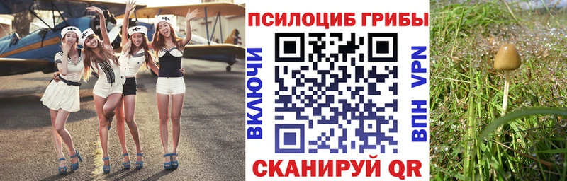 Псилоцибиновые грибы прущие грибы  Брюховецкая 
